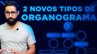 2 NOVAS MANEIRAS DE VOCÊ MONTAR UM ORGANOGRAMA Organize a sua Empresa de Maneira Estratégica [upl. by Eamon]