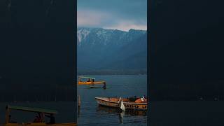 you take the man out of the city  Kashmir  Trending Reel shorts  Travel Reel shorts [upl. by Leatri]