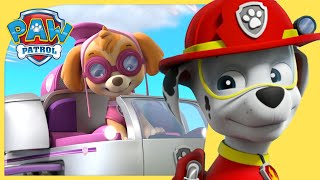 Marshall and Skye Save Adventure Bay and More Episodes  PAW Patrol  Cartoons for Kids Compilation [upl. by Latsryc]