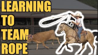 DALE LEARNS TO TEAM ROPE team roping 101  Rodeo Time 314 [upl. by Ibson]