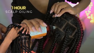 ASMR  Real Person Scalp Oiling Braids Compilation 1 Hour [upl. by Aenahs]