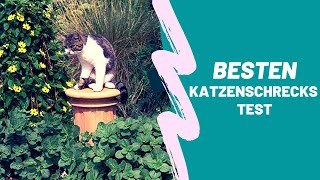 Die Besten Katzenschrecks Test  Top 5 [upl. by Anoved670]