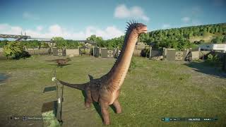 Jurassic World Evolution 2 Alamosaurus vs Feathered Tyrannosaurus Rex [upl. by Faires]