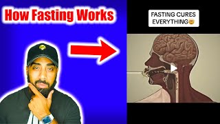 THIS is how Intermittent Fasting WORKS [upl. by Swithbert42]