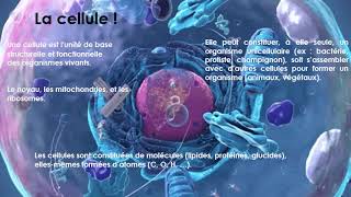 Vidéo contenu cours de biologie cellulaire 2024LYaici [upl. by Otit]