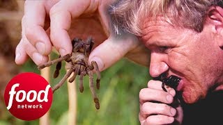 Gordon Ramsay Tries To Eat A Fried Spider In Cambodia  Gordons Great Escape [upl. by Cinelli]