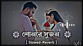 শুনঁরেসুজঁনআঁমিবঁলিযেঁতোঁরে🍒🪴 Bangla SlowedReverb Songs 🌸 Lofi Remix banglalofisongs [upl. by Aniuqaoj618]