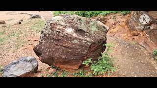 The National Fossil Wood Park  Tiruvakkarai [upl. by Kila]