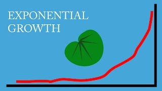 Exponential Growth a Commonsense Explanation [upl. by Aneram]