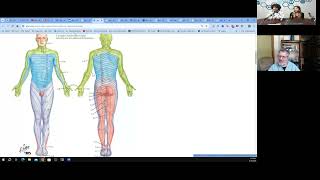 What is Radiculopathy  Essence of Medicine [upl. by Timus690]