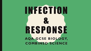 Infection and Response Revision  GCSE BiologyCombined Science [upl. by Hama724]