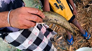 Village People Fishing  Village boyes catch Fish  Small Fish Fishing  B Fishing [upl. by Nolat]