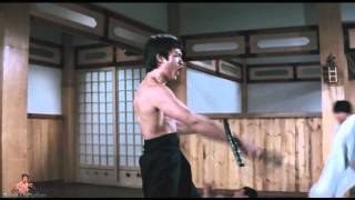 ☯ BEST Bruce Lee Tribute HD ☯ BY BestMAFights [upl. by Suirauqed]