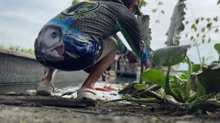 Babaran ishing Tilapia [upl. by Balfour971]