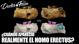 ¿CUÁNDO APARECIÓ EL HOMO ERECTUS 🌎 [upl. by Ruby]