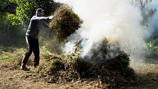 Full video Randomly cleaning up an abandoned overgrown house  transformation beautiful [upl. by Thagard]