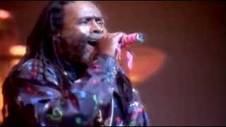 Burning Spear  The Wilderness  Live in Paris Zenith 88 [upl. by Aikrehs]