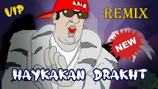 Haykakan VIP drakht  Official REMIX  NEW 2023 [upl. by Atsirhcal769]