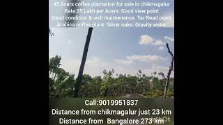 45 Acre coffee plantation for sale in chikmagalurprice25 Lakh per Acrecall9019951837 [upl. by Remmos435]