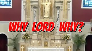 Homily 31st Sunday in Ordinary Time 1030am Mass 11324 catholichomily catholicprayer [upl. by Ttevy]