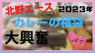 福袋開封＊北野エース２０２３カレーの福袋☆１発勝負の開封動画です高級【レトルトカレー】何が入ってる？大興奮の開封 [upl. by Arnulfo]