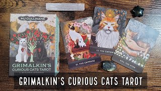 The Grimalkins Curious Cats Tarot [upl. by Drahsar703]