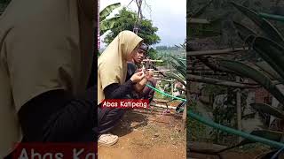 ABAS KATIPENG videongakak denabas komedi [upl. by Nangatrad]