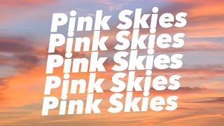 Pink Skies Lany lyrics [upl. by Atterrol]