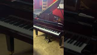 George steck self player baby grand piano [upl. by Edijabab]