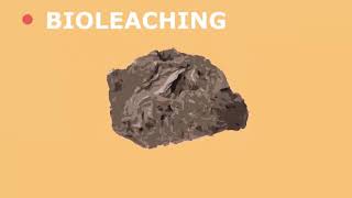 Future Extraction Methods Bioleaching and Phytomining [upl. by Atirma]