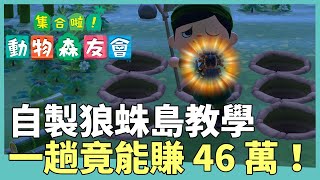 【集合啦！動物森友會】自製狼蛛島！一趟竟然可以賺 46 萬！｜狼蛛島教學、抓狼蛛技巧｜遊戲攻略 [upl. by Flann]