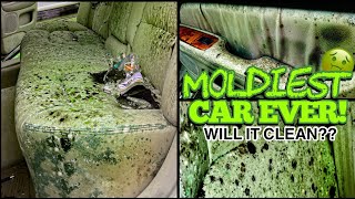 Deep Cleaning the MOLDIEST BIOHAZARD Car Youve Ever Seen  You Wont Believe the Before and After [upl. by Venuti]