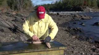 Filleting Pike Technique  boneless pike fillets [upl. by Marder]