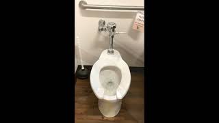 COMMERCIAL TOILET REPAIR commercial toilet toiletrepair repair commercials toiletmonster [upl. by Latnahs684]