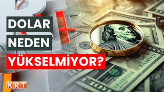 DOLAR NEDEN YÜKSELMİYOR TÜRK LİRASI GÜÇ MÜ KAZANDI [upl. by Arocahs]