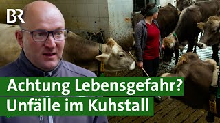 Aggressive Bullen und Kühe mit Kälbern  unterschätzte Gefahr Unfälle im Stall  Unser Land  BR [upl. by Maxi]