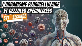 Lorganisme pluricellulaire un ensemble de cellules spécialisées  SVT seconde [upl. by Attenat]