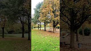 Ein wunderschöner Kinderspielplatz in QuadrathIchendorf Deutschland🇩🇪 quadrathichendorf germany [upl. by Tound907]