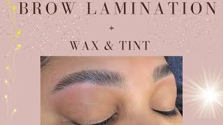 Brow Lamination Plus Wax and Tint [upl. by Reywas699]