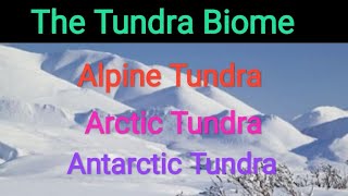 THE TUNDRA BIOME  Alpine Tundra Arctic amp Antarctic Tundra ONE OF THE MAJOR BIOME [upl. by Neelyad894]