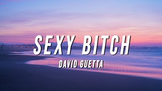 david guetta  sexy bitch TikTok Remix Lyrics [upl. by Asselem]