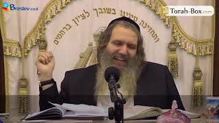 Rav Arouch chante quotMerci Hachemquot en 4 langues [upl. by Corley488]