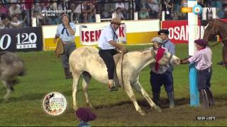 Jineteada en el Festival de Jesús María 2016 Tanda 4 [upl. by Laureen77]