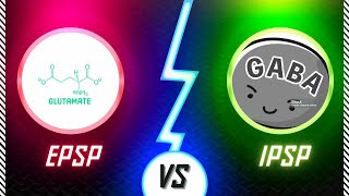 EPSP vs IPSP [upl. by Reahard]