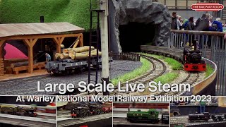 Large Scale Live Steam Model Railway at Warley 2023  The Railway Room [upl. by Eceerahs556]