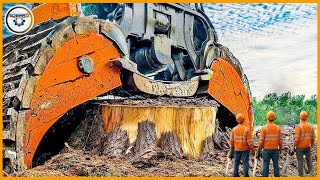 Extreme Dangerous Fastest Big Chainsaw Cutting Tree Machines  Monster Stump Removal Excavator 37 [upl. by Gristede853]