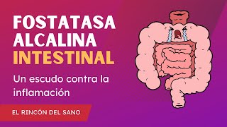 Fosfatasa alcalina Intestinal  Un escudo contra la inflamación 🦠 [upl. by Adniroc217]