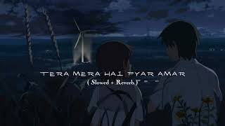 Tera Mera Hai Pyar Amar Full Song  Slowed and Reverb [upl. by Anny]