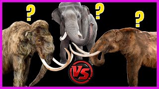 Qual a diferença entre mamute mastodonte e elefante  Minuto Animal 17 [upl. by Indys]