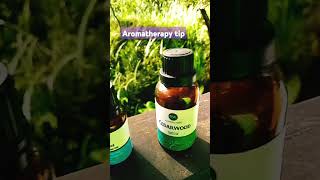 Recycle Glade air freshener aromatherapy tip [upl. by Antony]